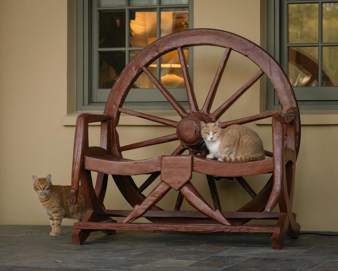 Charming image of two ginger tabby cats lounging on a unique wooden wheel-shaped bench outdoors.